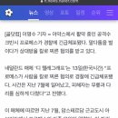프로메스 Daum카페