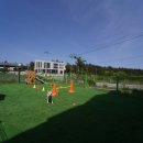 애견1번지 이미지