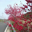 향호목장 이미지