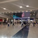 세븐일레븐 대구공항점 | 홍콩여행 홍콩공항에서 디즈니랜드 가는법 : 택시비용 캐리어비용 캐리어보관 교통편