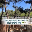 감곡푸른농장 | [👶🏻 고양 야외 아이와 가볼만한 곳] 🥕농장체험&amp;🧩모래놀이&amp;🐰먹이주기 체험, 농장의 계절 내돈내산 솔직후기❗️