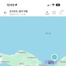 싱가포르+발리 허니문 패키지 견적비교 ft.신혼여행 예약 과정