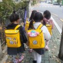 솔리유치원 이미지