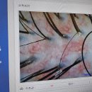 웰킨광명
