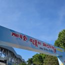 대구 축제_ 2024 제4회 대구 떡볶이 페스티벌 | 방문후기 ⎷