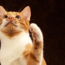 디지털 마케팅 성공전략 이미지