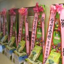 삼성증권 대전 유성지점 오픈 개점식 축하 드리미 쌀화환 이미지