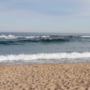 속초해수욕장 이미지