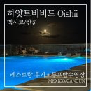 비비드 | 칸쿤 하얏트비비드 후기 | 기대와 달랐던 Oishii, 그리고 완벽했던 루프탑