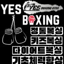 예스복싱 소사점 이미지