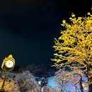 김지혜 바이올린 독주회 이미지