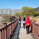 작곡가 박태준 흉상 이미지