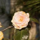 진주대로 주유소 이미지