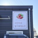 다인농장 네이버블로그