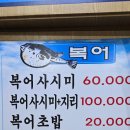 홍참치앤초밥