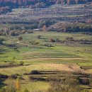 동일축산 이미지