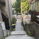 모스카페 - 16234 | 모스카페
