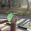 수봉공원(인공폭포앞) | 인천 벚꽃명소 일몰명소 수봉공원 스카이워크 다녀온 솔직후기