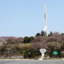 고씨네생선구이 이미지