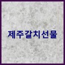 주식회사 환경제주 | 제주반했어 제주 갈치 은갈치 설 명절 선물세트 국산 손질 편한 프리미엄 수산물