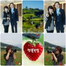 파리바게뜨김해삼방점 | 동생.사랑비언니 생일축하/투표인증샷/작은시누이힘내요/내일 단양동창회 잘다녀올게요^^