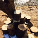 위즈숲유치원 이미지