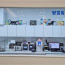 행복을찾는동물병원 이미지