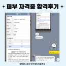 기초피부 실무반 | 원주 피부미용학원 피부자격증 속성반