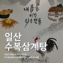 수복삼계탕 | 일산 마두역 삼계탕 맛집 수복삼계탕 후기