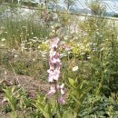 유성도서관 3층 이미지