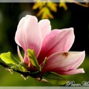 조은정비 이미지