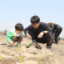 화 농장 이미지