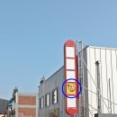 원당동물병원 | 춘천 육림닭강정 블루리본 생활의달인 맛집 내돈내산 포장 후기