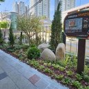 대전오류초교 이미지