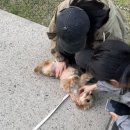 봄에 뭐 했더라?
