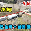 둔내농장 이미지