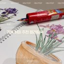 사군자와 예쁜 꽃그림(저녁) | 겨울취미 추천 그림이좋은사람들 사계절 화초식물 컬러링북 사용 후기