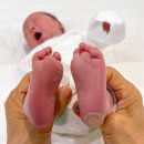 안둔 | 화정 더플라워 산후조리원 일산점 2주 솔직후기 장단점 (마사지 가격, 교육 프로그램, 식사, 퇴소선물)