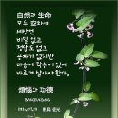 다솔사길 이미지