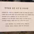 카페 녹천