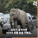 젤리롤 산남점 | 11월- 나에겐 우리가 지금 1순위야