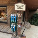 둥지성인PC게임랜드 | 오키나와 정글리아 티켓 소요시간 위치 후기 안내