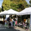 사랑의 마을 이미지