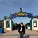 세계인의랜드 | #1 함부르크에서 파리 / 파리 디즈니랜드 / 파리디즈니호텔 / 파리 디즈니랜드 꿀팁 / 라따뚜이레스토랑