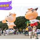 커브스 개포클럽 | 강원도 가을축제 펜션. 횡성한우 축제.윤도현밴드공연