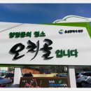 ＜울산 오치골＞ 산길따라 도보여행 이미지