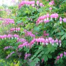 삼성당구장 이미지