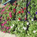 영원면사무소 이미지