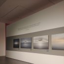 산양작은도서관 | The glorious world 2025 CCPP 기후환경사립프로젝트 &lt;더 글로리어스 월드&gt; 전시 관람 후기