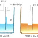 (주)스테르나 이미지